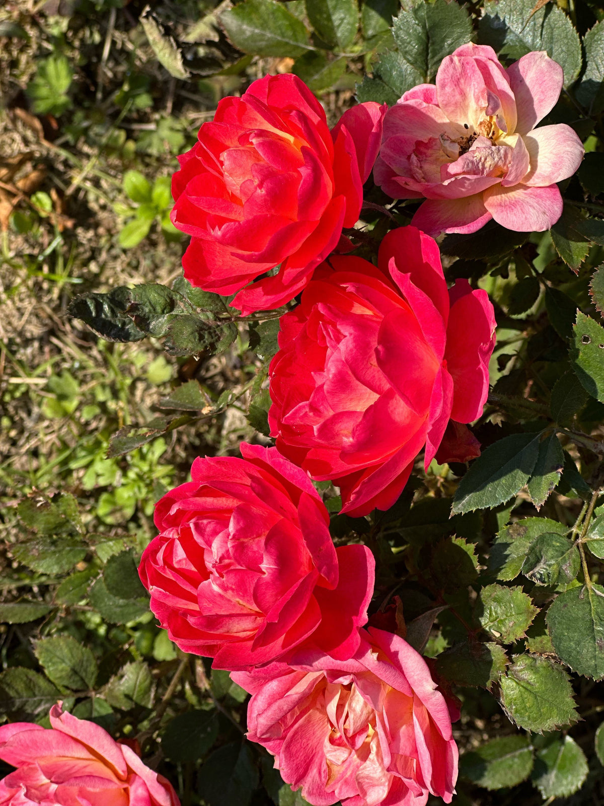 012
